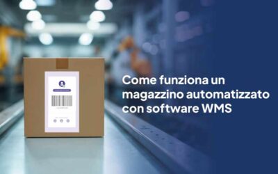 Software WMS: Cos’è, come funziona e perché è fondamentale per la gestione del magazzino